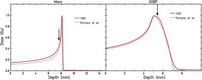 Characterizing Radiation Effectiveness in Ion Beam Therapy Part I: Introduction and Biophysical Modeling of RBE Using the LEMIV